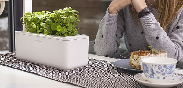 Potager d'intérieur Click & Grow installé dans une cuisine