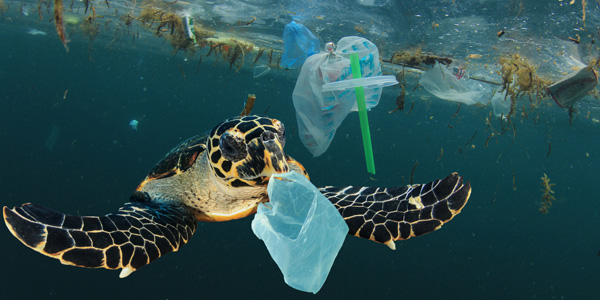 Limitons notre utilisation de plastiques à usage unique