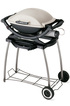 WEBER Q 200 GAZ + CHARIOT
