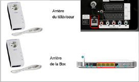 Schema connexion tv et Box en CPL