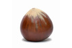 Article de d�coration CORES DE TERRA Noisette 3057