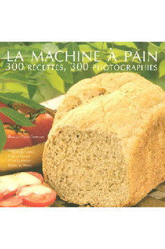 ROMAIN PAGES MACHINE A PAIN 300 R