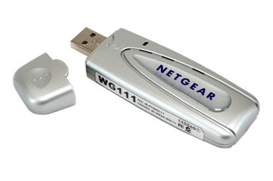 NETGEAR WG111FS