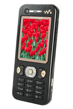 SONY ERICSSON W890I