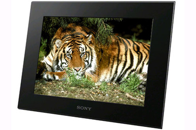 Cadre photo SONY DPF-C800