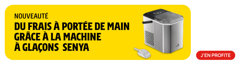 Fabrique à glaçons Senya