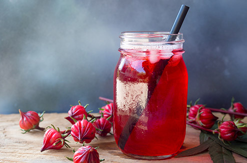 Découvrez les vertus de l'hibiscus ! 