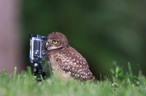 Filmer en 4K : vos (chouettes) souvenirs en ultra haute définition