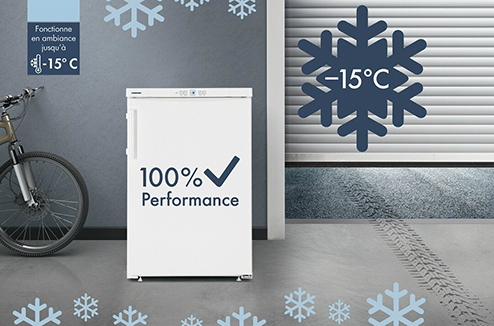 5 congélateurs qui résistent à -15°C