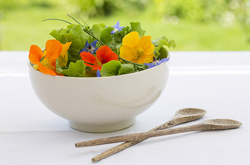 5 fleurs qui égayent les petits plats