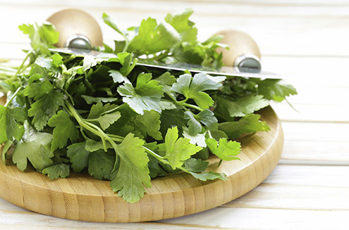 Herbes fraîches : comment les conserver plus longtemps ?