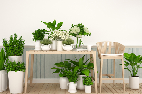 Comment aménager son jardin d’intérieur ? 