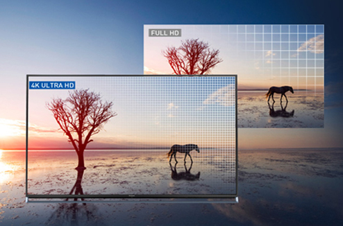 TV 4K Panasonic : 5 questions à une experte