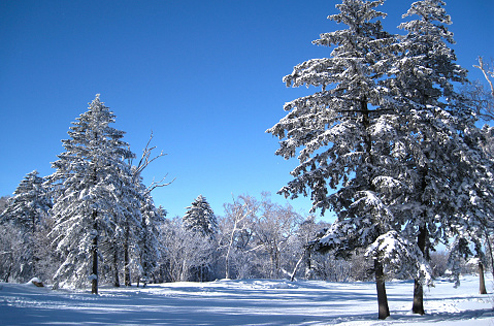 Neige : comment éviter des photos grises ?