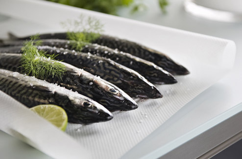 poisson-494.jpg