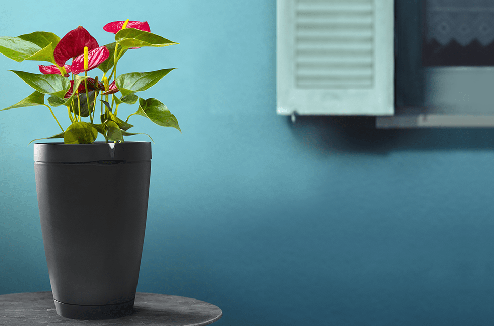 Parrot Pot : le baby-sitter de vos plantes