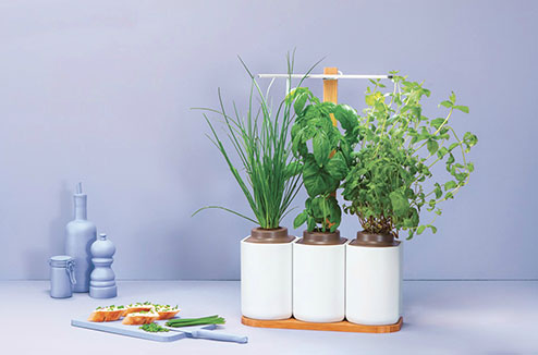 Potager d’intérieur : cultivez sans sortir dehors !