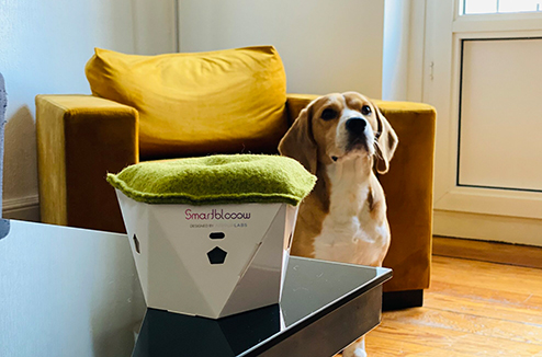 Des appareils pour surveiller et purifier l'air à la maison 
