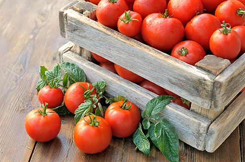 Tomates à profusion ! Plein d'idées pour les cuisiner !