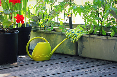 Balcon : que pouvez-vous y faire pousser ?