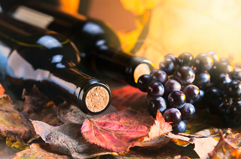 Vin bio, végan ou naturel : on vous explique les différences majeurs entre ces trois types de production