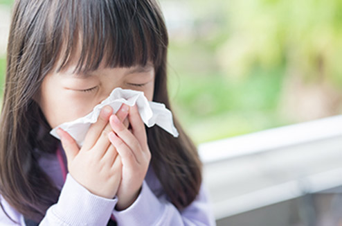 Comment se protéger des pollens à la maison et apaiser les allergies ?