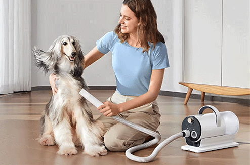 On a testé l'outil de toilettage professionnel Ultenic P30 Combo !
