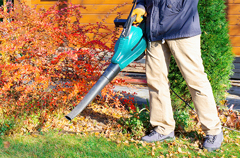 Top 10 des aspirateurs souffleurs pour débarrasser votre jardin des feuilles de l'automne