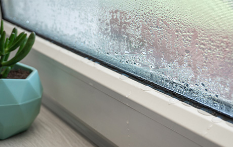 Les meilleurs déshumidificateurs, pour dire adieu aux problèmes d’humidité, de condensation et de moisissures 