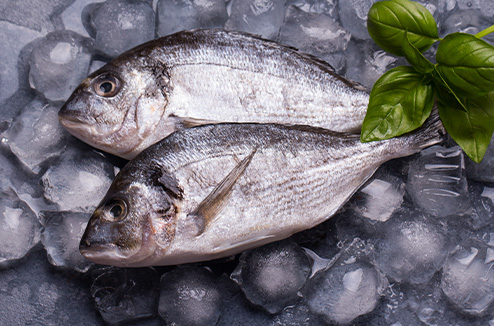 Quelles sont les méthodes pour conserver son poisson au frigo et au congélateur ?