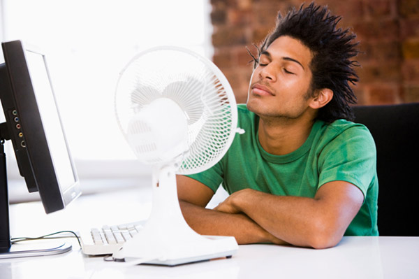 Trop chaud ? Le ventilateur procure une douce sensation de fraîcheur...
