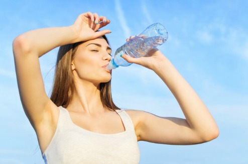 Alimentation canicule