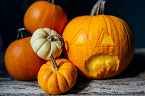 Potiron, potimarron, pâtisson : les stars de l’automne !