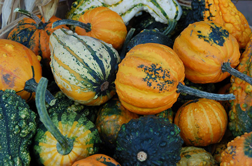 Verrines de courge muscade, chorizo et pignons