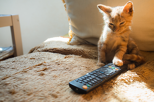 2 solutions pour éviter de collectionner les télécommandes à la maison