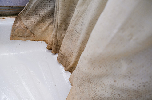 Votre rideau de douche semble irrécupérable ? Découvrez nos méthodes pour le nettoyer et le décrasser facilement