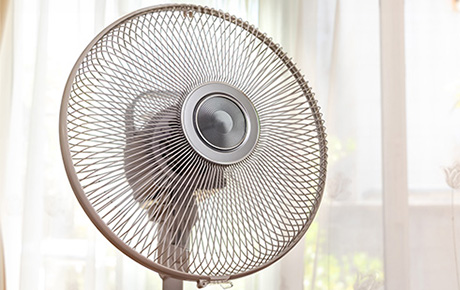 Une image d'illustration