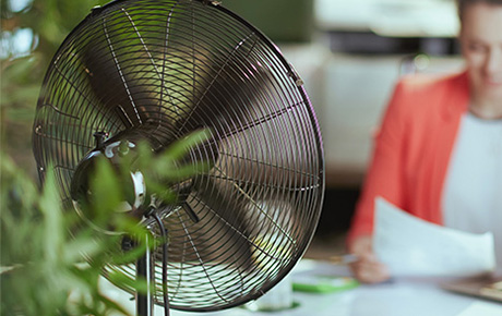 Une image décorative