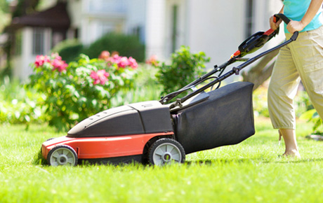 Une image décorative