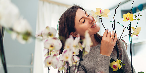 Les fleurs d'int&eacute;rieur font aussi du bien