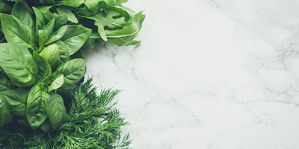 Cultivez des plantes aromatiques chez vous