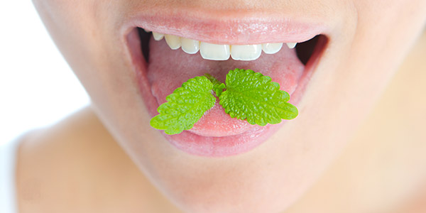 Mâcher de la mente aide à garder une haleine agréable