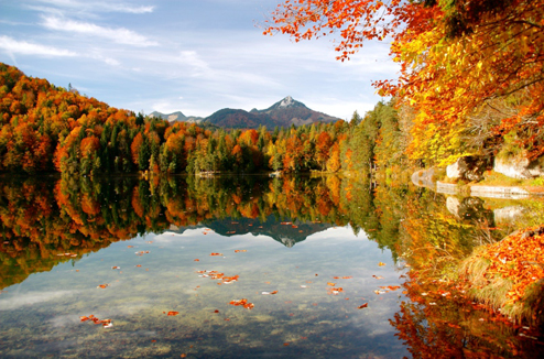 Conseils et idées pour de belles photos d'automne