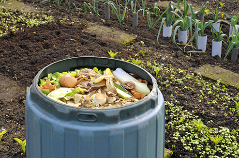 Comment faire du compost ? On vous explique