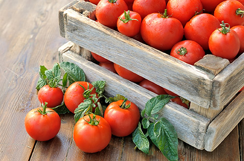 tomates494.jpg