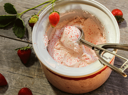 Sorbetière, turbine à glace : conseils et astuces pour réussir sorbets et  desserts glacés