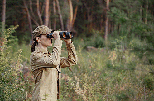 Une femme regarde à travers des jumelles en forêt 