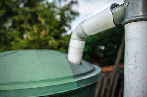 Un récupérateur d'eau de pluie relié à une gouttière 