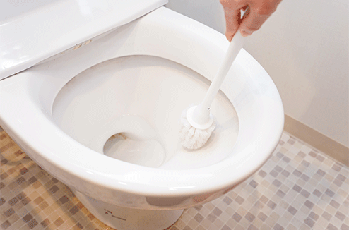 WC entartrés : comment les nettoyer et les faire briller à nouveau ?