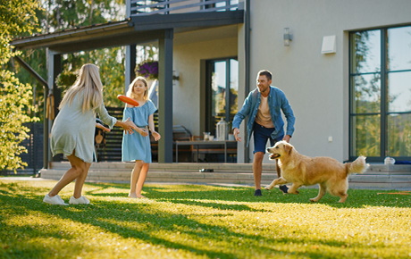 Une famille qui jouent au frisbee dans un jardin avec un chien